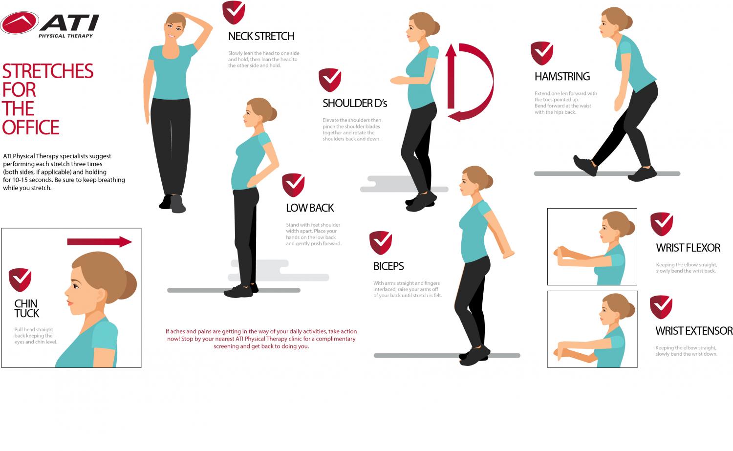 Physical Therapy Stretching Guide
